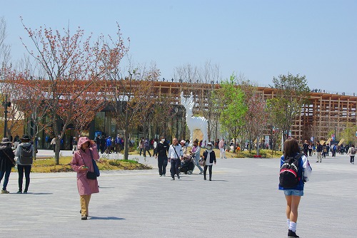 IMGP5711a.jpg (70807 oCg)
