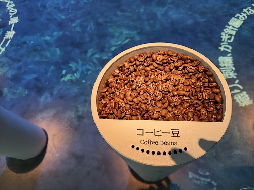 20250513_113645.jpg (68761 バイト)