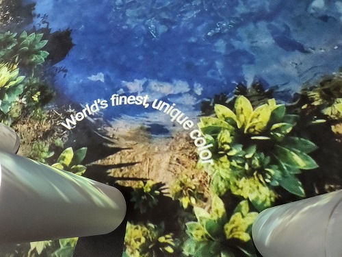 20250513_113658.jpg (78983 バイト)