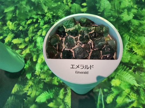 20250513_113709.jpg (83154 バイト)