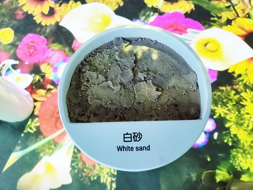 20250513_113713a.jpg (76767 バイト)