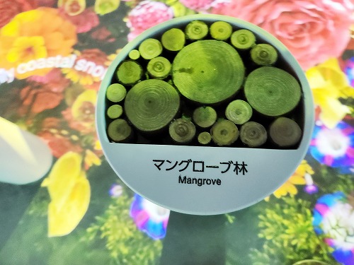 20250513_113719a.jpg (62036 バイト)