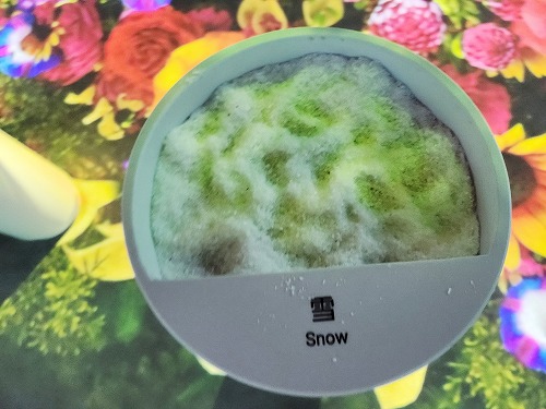 20250513_113722a.jpg (62815 バイト)