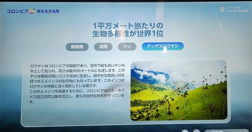 20250513_113810a_0000.jpg (43241 バイト)