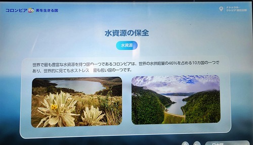 20250513_113852a_0000.jpg (45911 バイト)