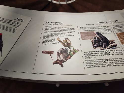 20250513_113918a.jpg (57900 バイト)