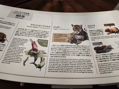 20250513_113924a.jpg (79590 バイト)