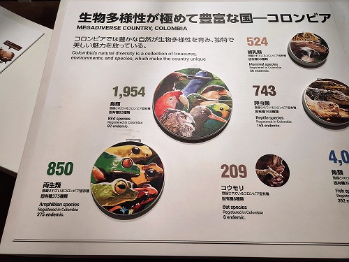 20250513_113930a.jpg (70569 バイト)