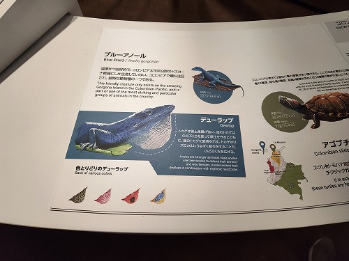 20250513_113944a.jpg (53867 バイト)