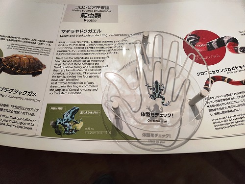 20250513_113950a.jpg (72886 バイト)