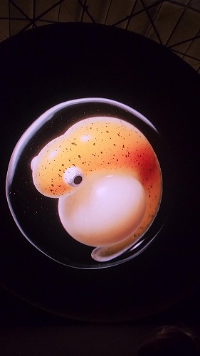 20250513_162036 - frame at 1m51s.jpg (28767 バイト)