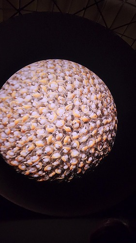 20250513_162036 - frame at 2m2s.jpg (46253 バイト)