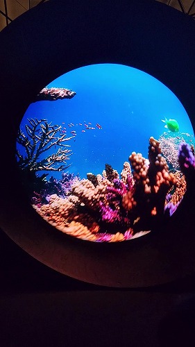 20250513_162036 - frame at 2m50s.jpg (41703 バイト)