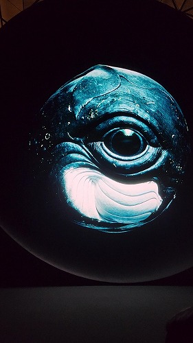 20250513_162036 - frame at 3m35s.jpg (38910 バイト)