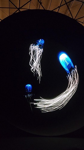 20250513_162036 - frame at 4m44s.jpg (32741 バイト)