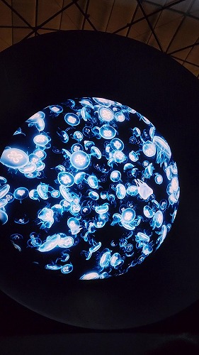 20250513_162036 - frame at 5m1s.jpg (54609 バイト)