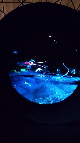 20250513_162036 - frame at 5m49s.jpg (29184 バイト)