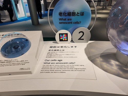 20250513_125739.jpg (59455 バイト)