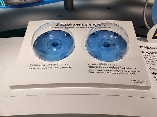 20250513_125745.jpg (50030 バイト)