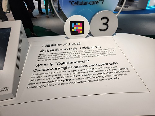 20250513_125804.jpg (59280 バイト)