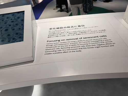 20250513_125809.jpg (46790 バイト)