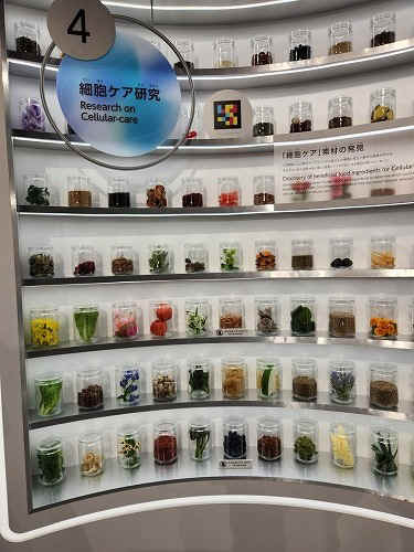 20250513_125817.jpg (74934 バイト)