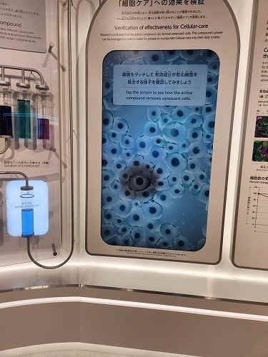 20250513_125824.jpg (66485 バイト)