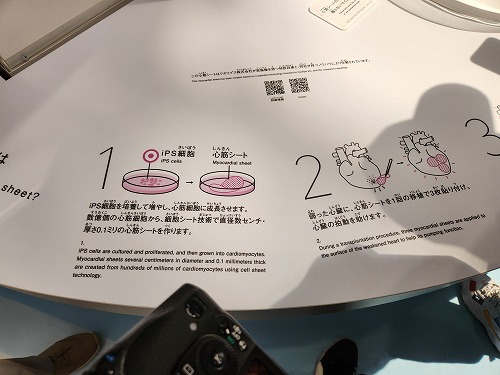 20250513_134748.jpg (50236 バイト)