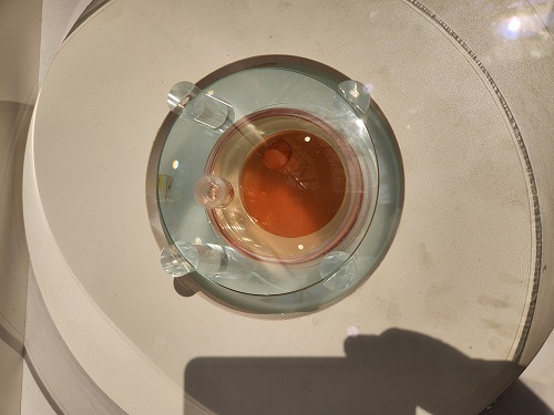 20250513_134805.jpg (48705 バイト)