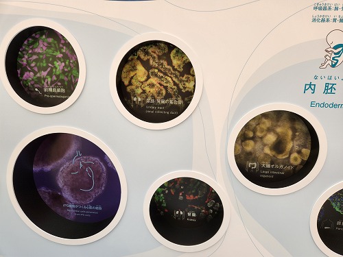 20250513_134834.jpg (57796 バイト)