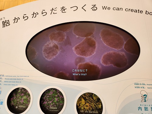 20250513_134858.jpg (53407 バイト)