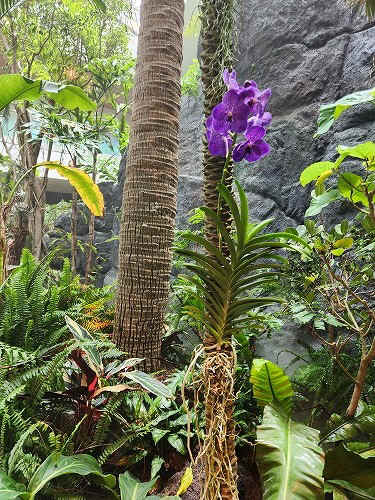 20250527_122118.jpg (133817 バイト)