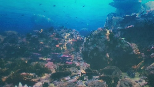 20250527_122213 - frame at 0m14s.jpg (38757 バイト)