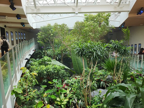 20250527_122835_001.jpg (114134 バイト)