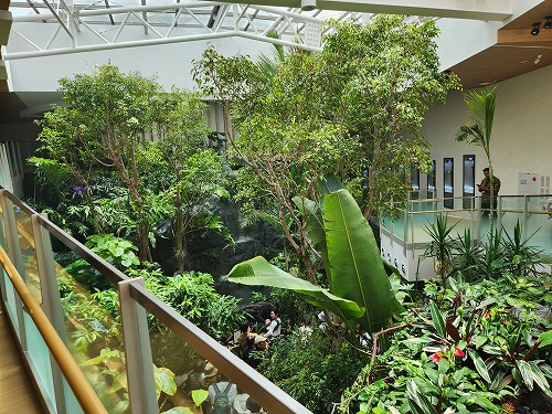 20250527_122844.jpg (123869 バイト)