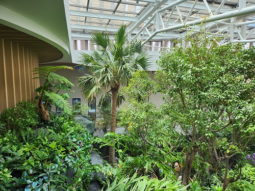 20250527_122913.jpg (131217 バイト)