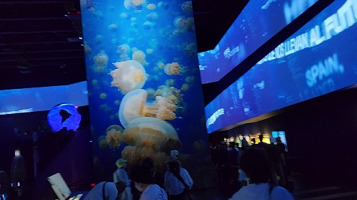 20250527_101313 - frame at 1m36s.jpg (44061 バイト)