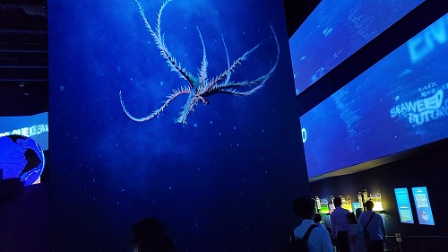 20250527_101313 - frame at 2m13s.jpg (41018 バイト)