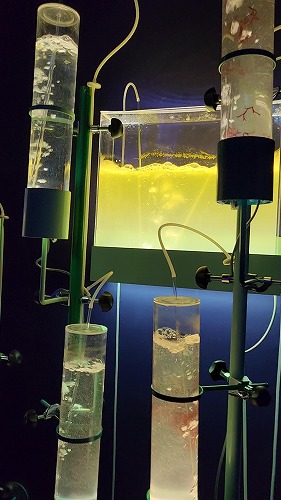 20250527_101618 - frame at 0m12s.jpg (50621 バイト)