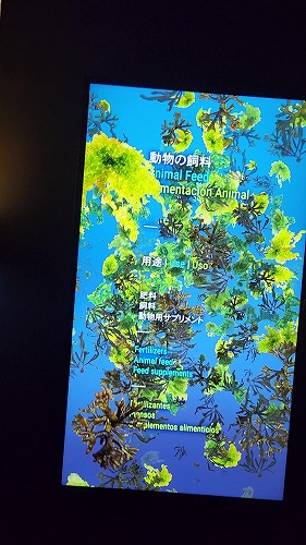 20250527_101618 - frame at 0m24s.jpg (65922 バイト)