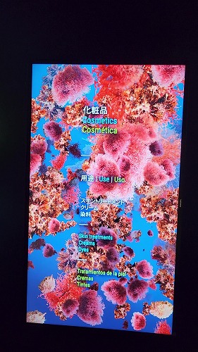 20250527_101618 - frame at 0m38s.jpg (69951 バイト)