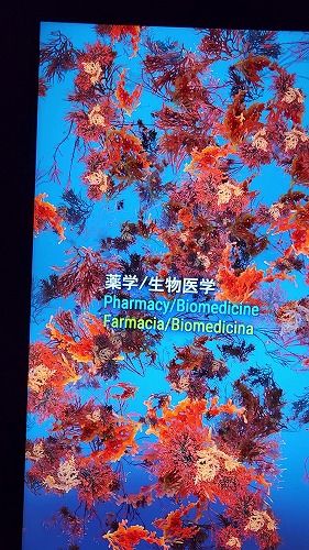 20250527_101618 - frame at 1m40s.jpg (98090 バイト)