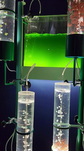 20250527_101618 - frame at 1m4s.jpg (53207 バイト)