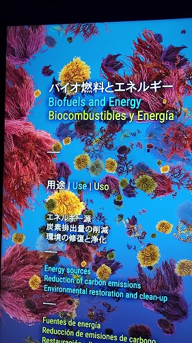 20250527_101618 - frame at 1m54s.jpg (91709 バイト)