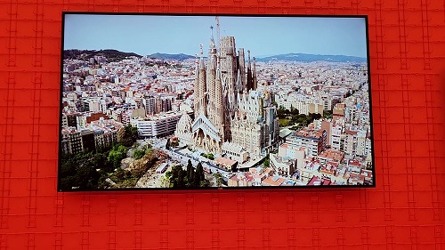 20250527_102112 - frame at 0m50s.jpg (65927 バイト)