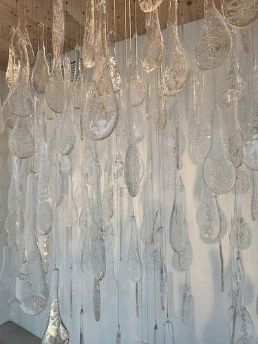 20250527_141037.jpg (69722 バイト)