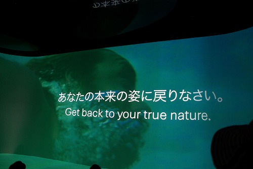 IMGP5935.jpg (30295 バイト)