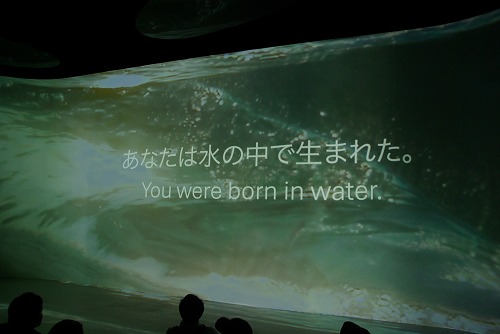 IMGP5936.jpg (33824 バイト)