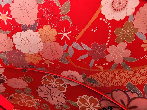 20250527_152217.jpg (92379 バイト)