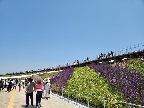 20250513_121922.jpg (64345 バイト)